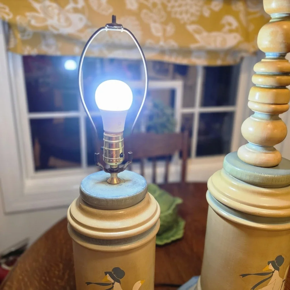 Vintage matching country goose lamp set table lamp & Floor Cottagecore